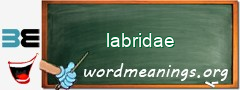 WordMeaning blackboard for labridae
